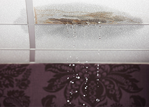 What to do when your roof is leaking